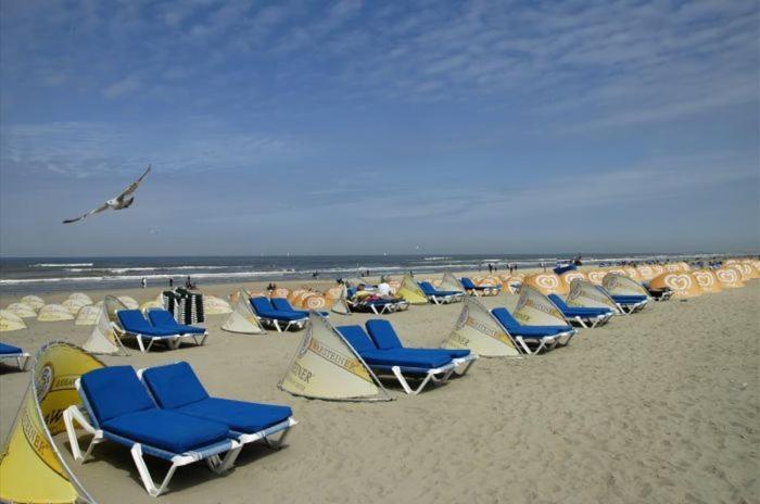 Life@Sea Apartment Зандвоорт Екстериор снимка